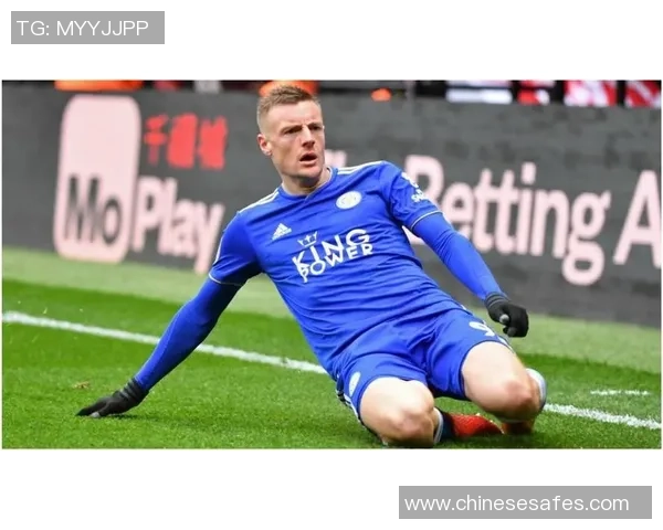 法国足球传奇退役明星回顾与未来发展展望