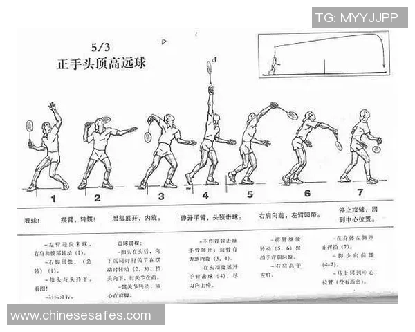 从零基础到高手之路羽毛球技术全面提升指南
