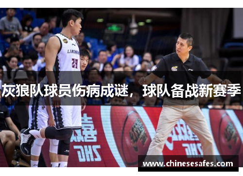 灰狼队球员伤病成谜，球队备战新赛季