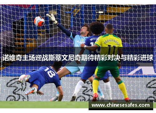 诺维奇主场迎战斯蒂文尼奇期待精彩对决与精彩进球
